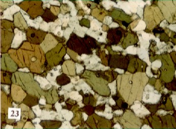 fotmic005.jpg (38821 bytes)